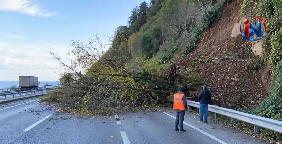 საქართველოს საზღვართან მეწყერი ჩამოწვა: ხეები მოძრავ ავტომობილებს დაეცა